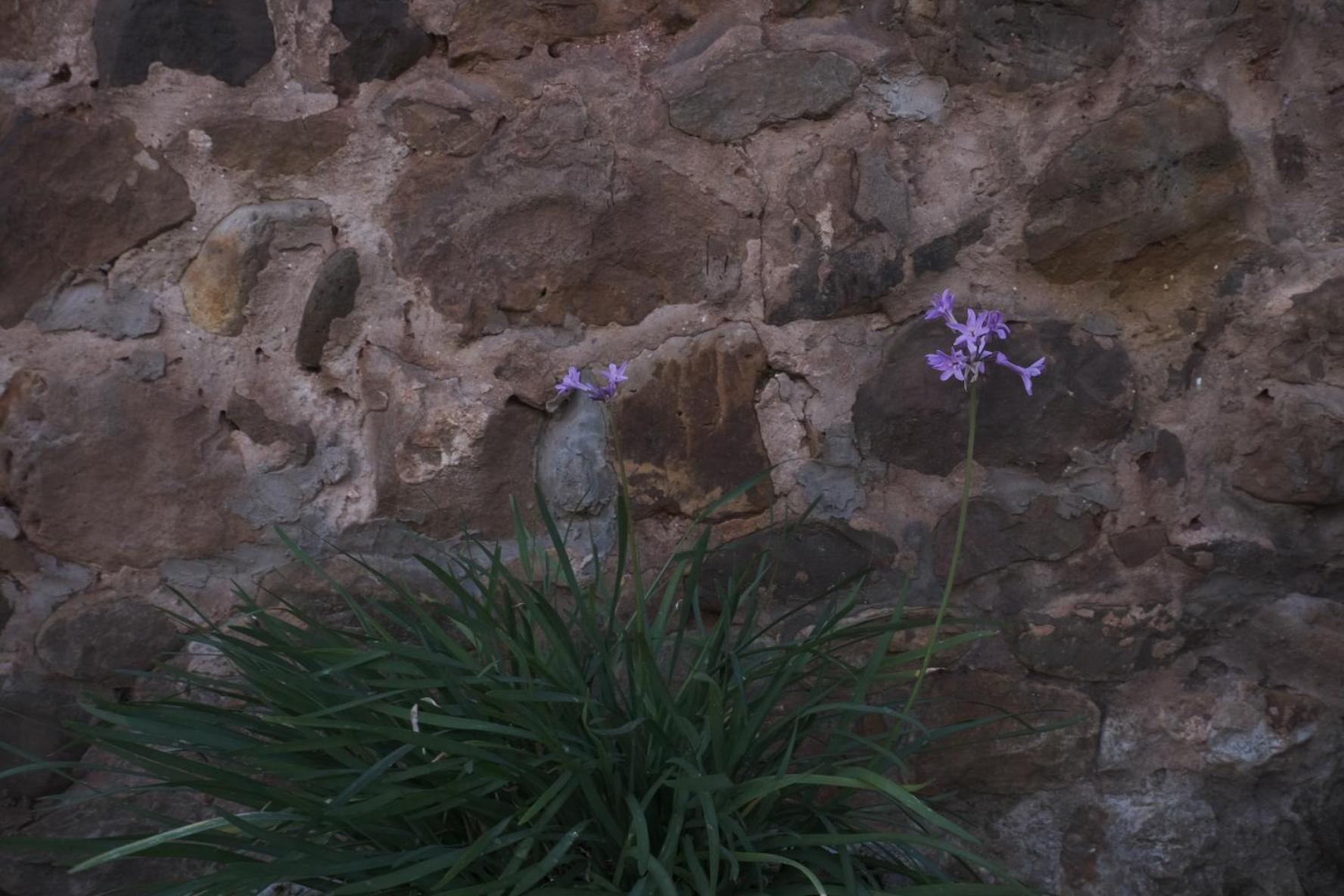 Posada La Estela De Barros Corrales De Buelna Εξωτερικό φωτογραφία